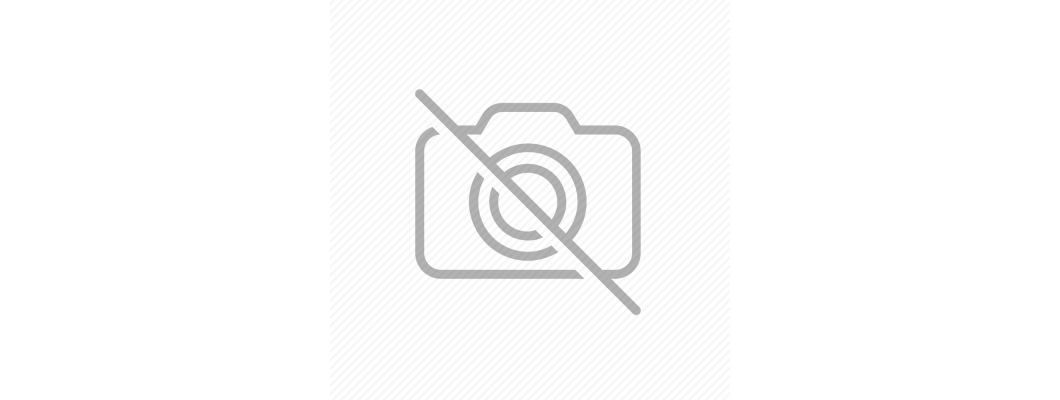 Kaktüs Bakımı Nasıl Yapılır? | Sağlıklı Kaktüsler İçin İpuçları